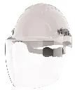 EVOGuard C2 Visor - Full Face - 2.webp